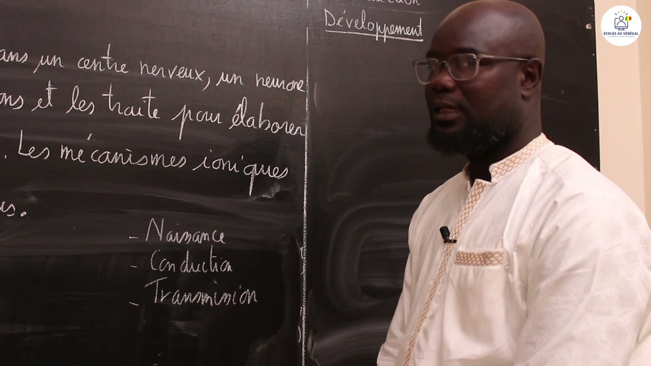 Exercices - Terminale S1 & S2 - SVT:  Application / Propriétés du Tissu nerveux / Suite 3/ M. Gnasse