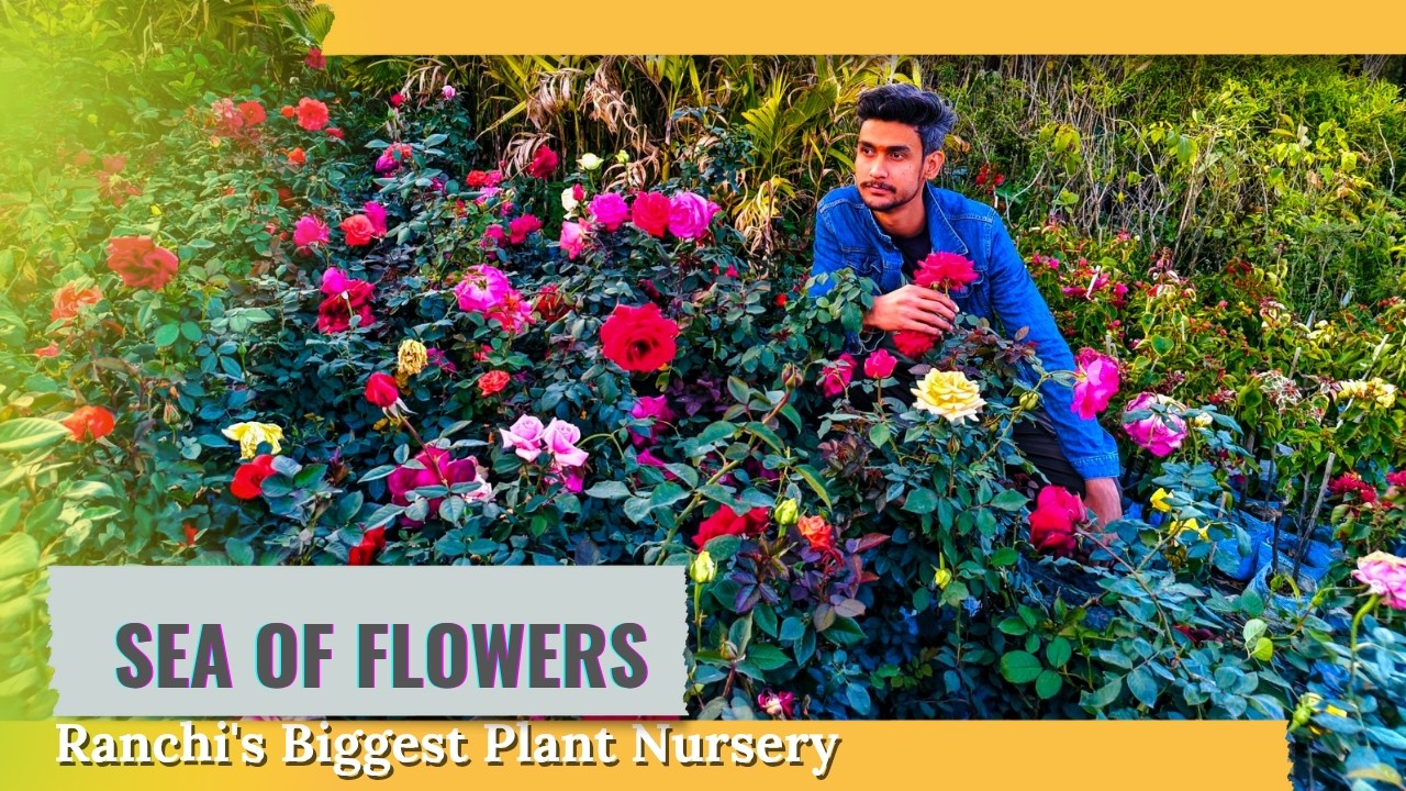 Finally Found in Ranchi's Bighest Plant Nursery || Chutia || Youtube