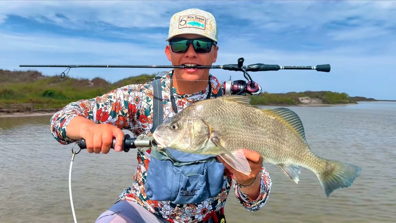 Sight Casting LIMITS of Black Drum! Wade Fishing! 