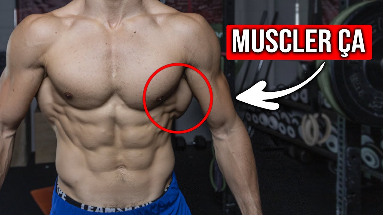 MUSCLER &Ccedil;A MAINTENANT !! (2 exercices)