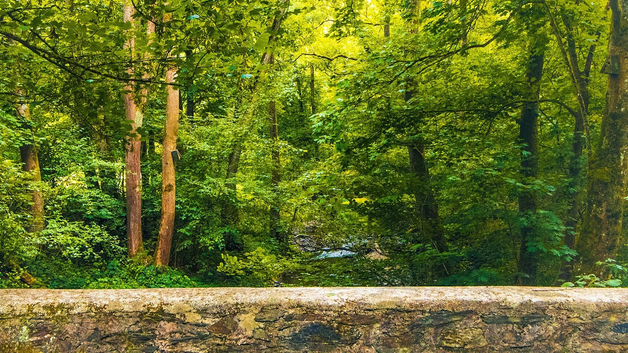 Baybachtal Wandern im Hunsr&uuml;ck | Vom Waldforum Roskerbach zur Burgruine Waldeck und Ehrenburg Blick
