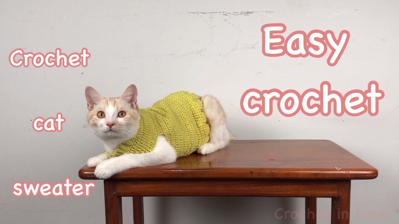 Cat Sweater crochet | EP.21