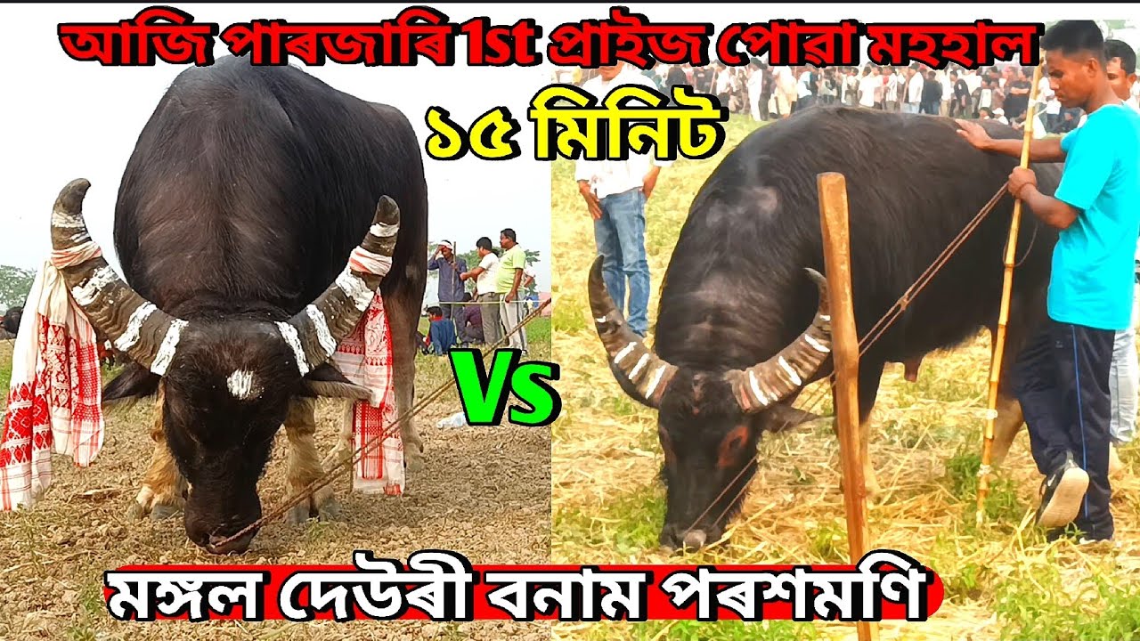 MONGOL DEWRI vs POROXHMONI | মঙ্গল দেউৰী বনাম পৰশমণি | Parojari Mohjuj 2026