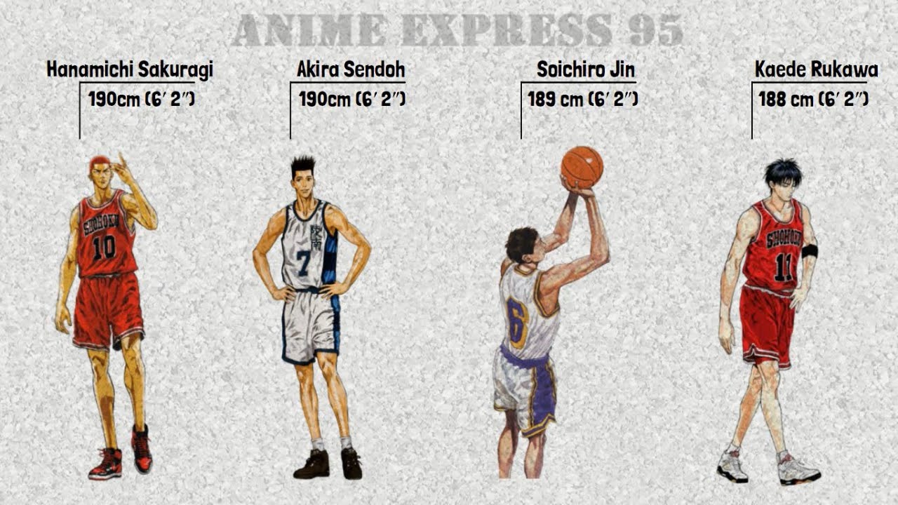 Chiều Cao Dàn Tuyển Thủ Bóng Rổ Slam Dunk