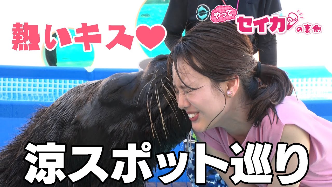 【セイカの裏側14】暑さを吹きとばせ！涼スポット巡り
