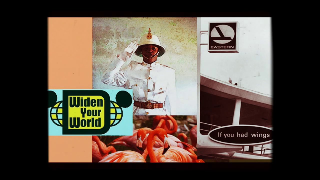 If You Had Wings