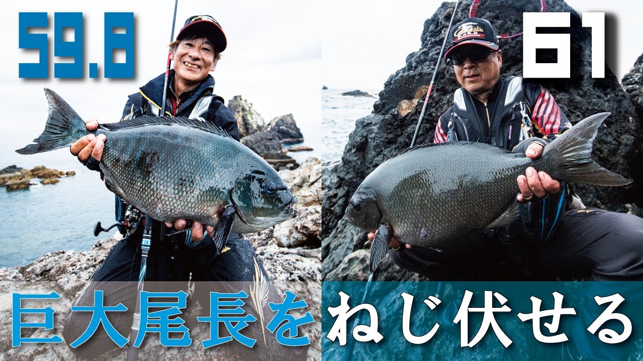 【がま磯アテンダーIII】真打登場(2.0号・2.75号)巨大尾長との壮絶ファイト！【巨大尾長】【ロクマル尾長】