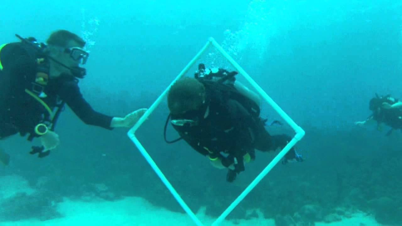 Peak Performance Buoyancy Dive Utila