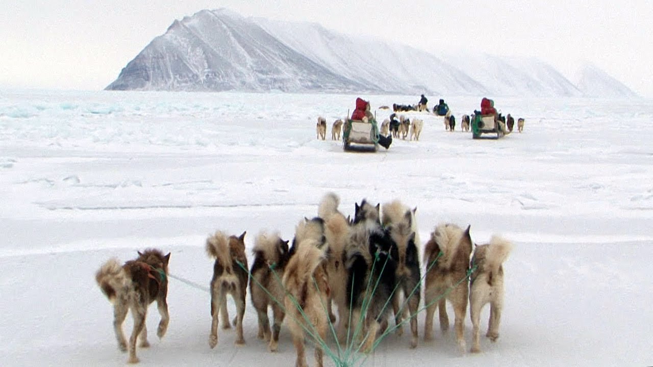Ruta en trineo perros del fiordo Inglefield a la isla de Qeqertarssuaq - Expedición Thule 2011