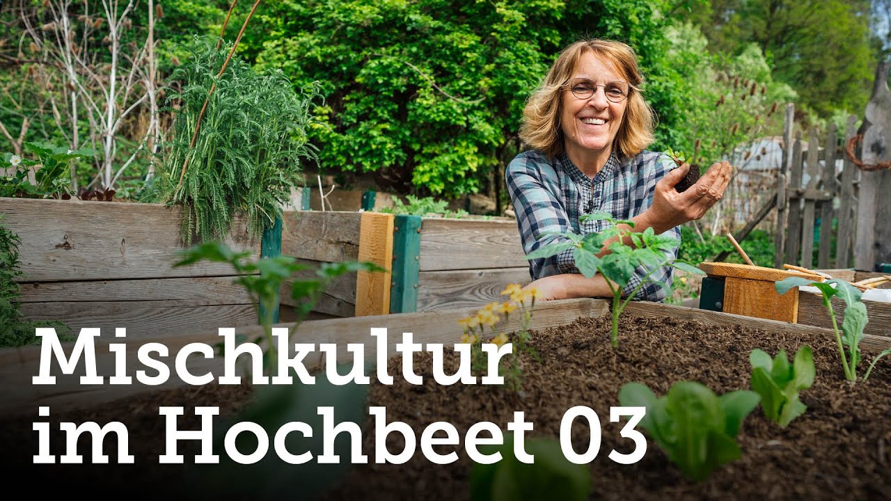 Teil 3 | Reiche Ernte aus dem Hochbeet erzielen mit Hilfe der genialen Mischkultur! 🌱🌼
