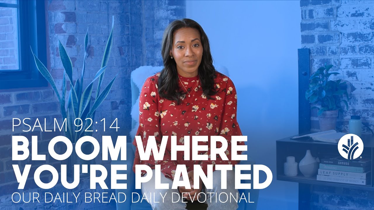 Bloom Where You're Planted - Daily Devotion