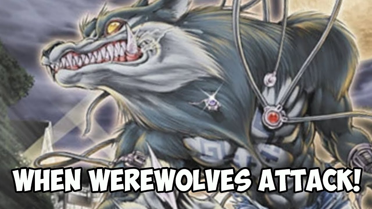 Fangs Vs Claws, Vampires Vs Werewolves In Yugioh!