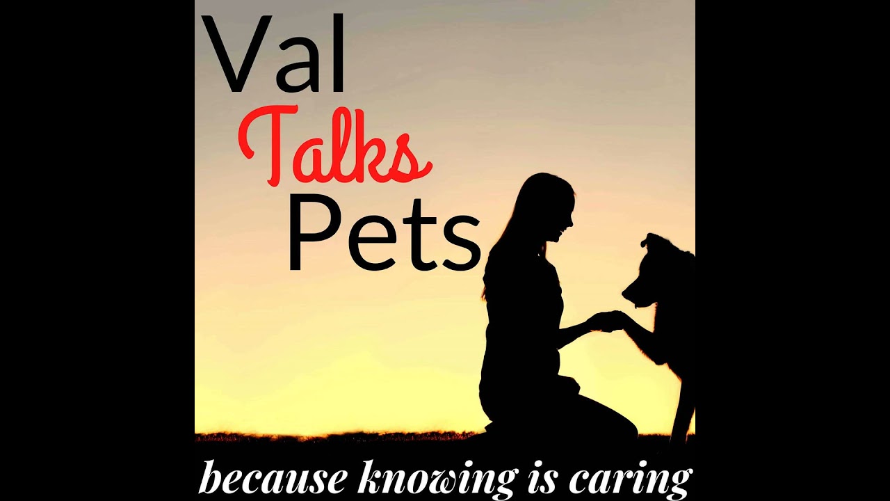 PetCurean - An Interview With Ashley Norton & Theresa Lantz