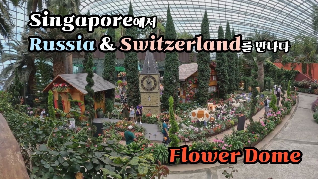 싱가폴의 훌라워 돔 #travel #singapore #flower dome #cloud forest