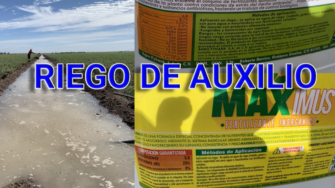 RIEGO DE AUXILIO PARA EL GARBANZO!!!