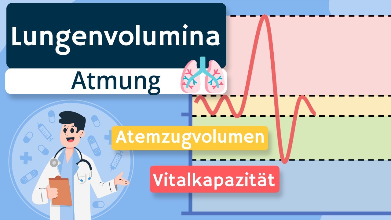 Lungenvolumina und Lungenkapazitäten einfach erklärt