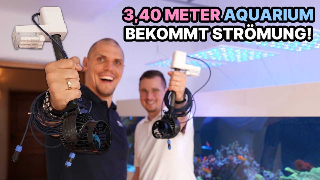 Neue Strömung für das 3,40m AQUARIUM von Chris: Der neue ORCA im Einsatz!