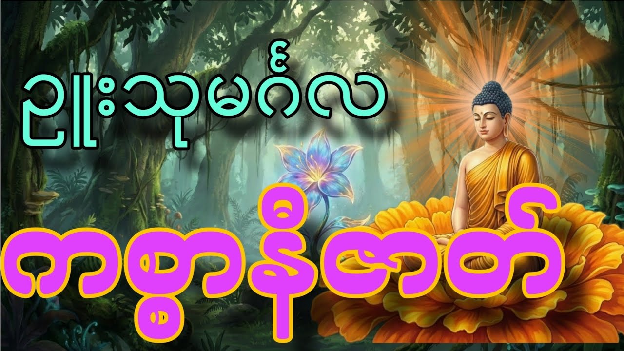 ကစ္စာနီဇာတ်