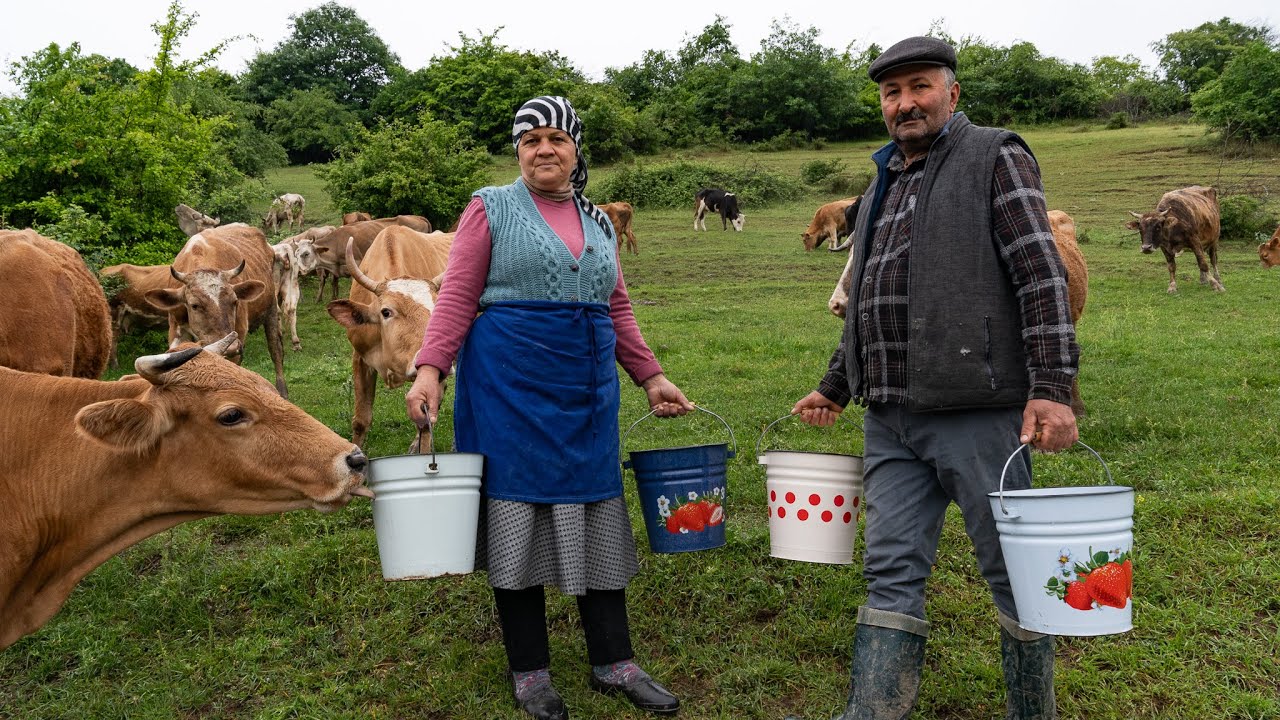 🧀🥛 Cheese Making | Mozzarella Cheese from Fresh Milk 🥛🧀