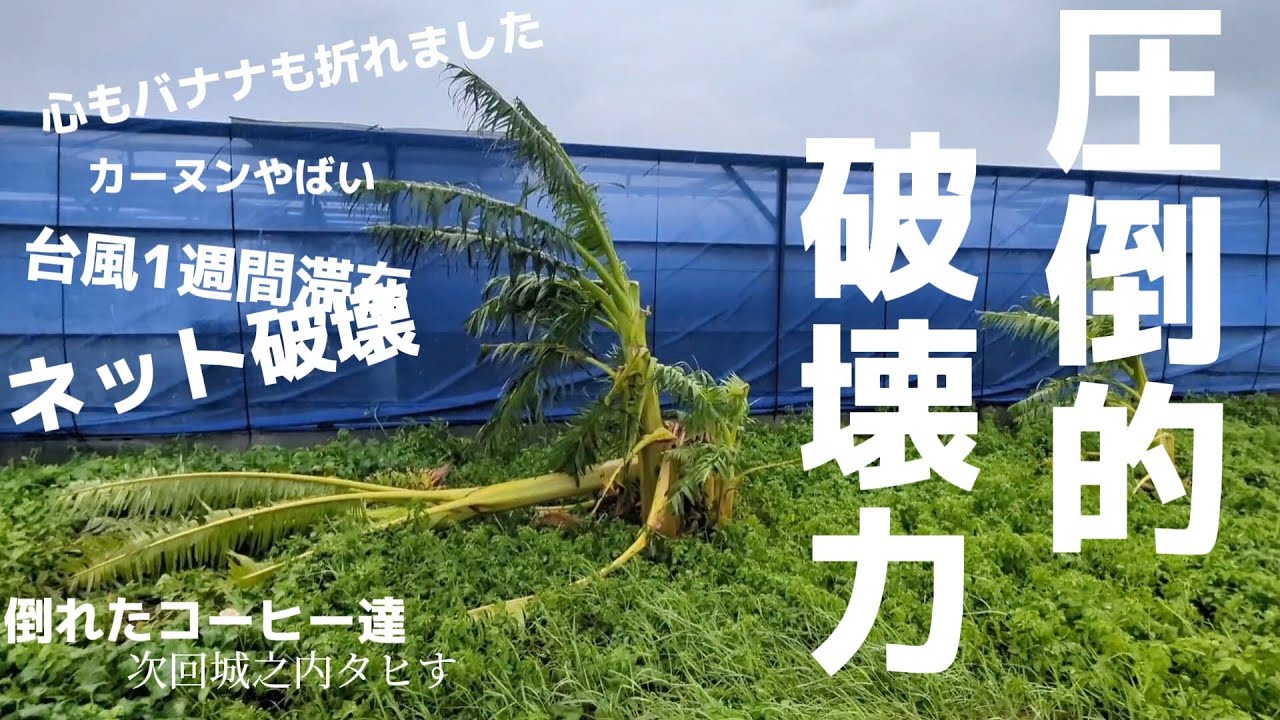 沖縄に発生した台風カヌーンの猛威に絶叫した