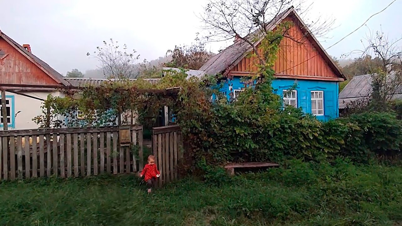 Купили саманный дом у леса