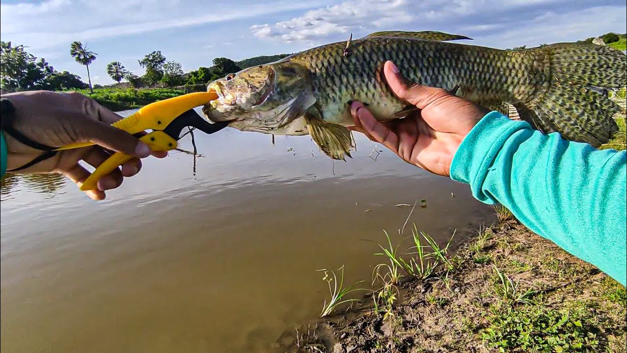 testei a vara de pesca do AliExpress, super macan,🎣