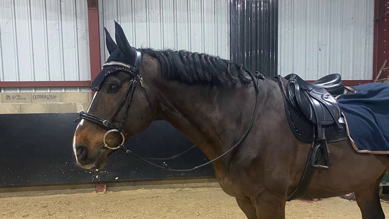 COURS DE SAUT COMMENT&Eacute; !