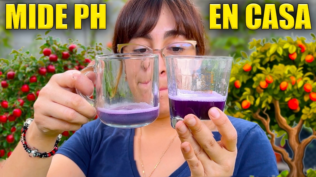 🍋 C&oacute;mo medir el pH del suelo: Corr&iacute;gelo para m&aacute;s flor y fruto (3 m&eacute;todos) 🥑