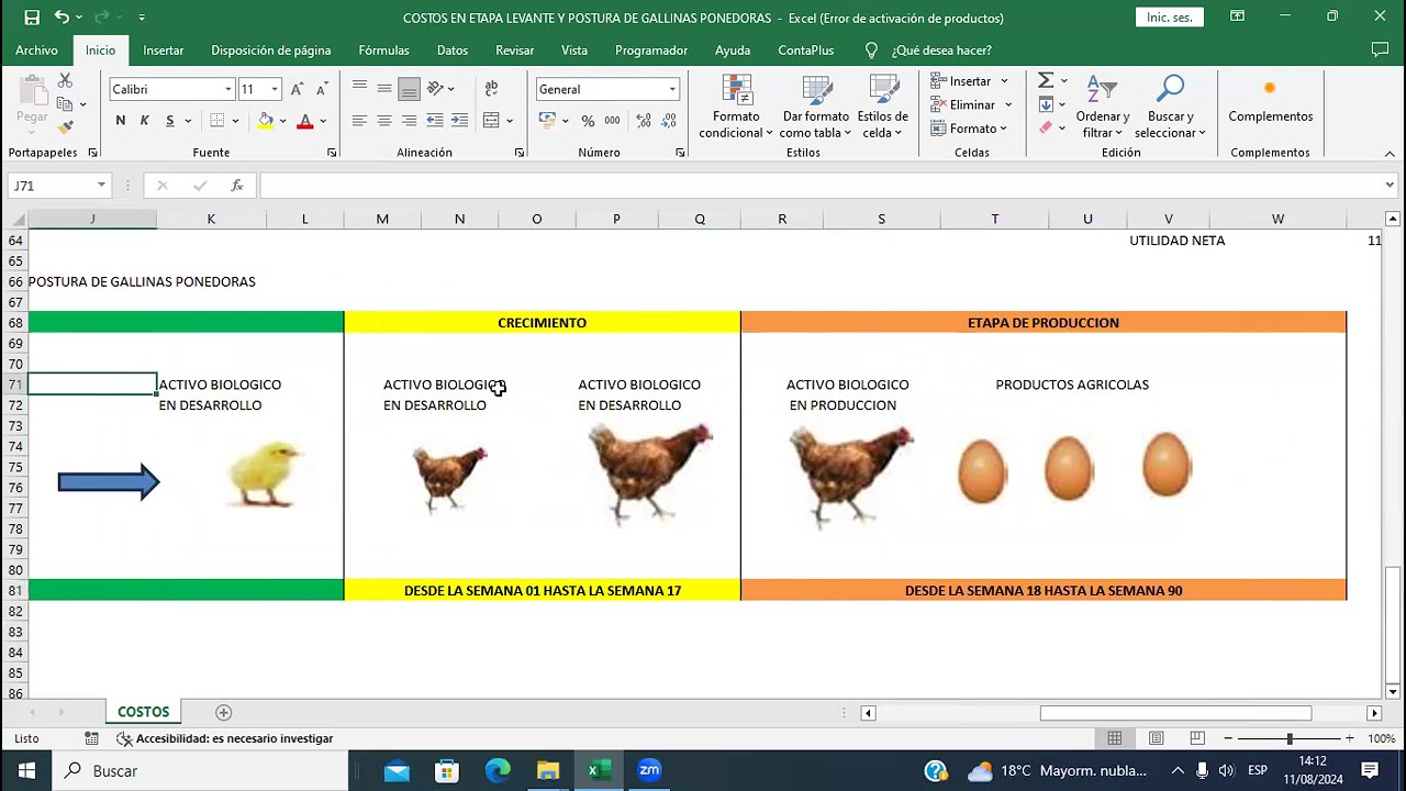 CONTABILIDAD PARA DETERMINAR EL COSTO DE GALLINAS PONEDORAS Y DE LA PRODUCCION DE HUEVOS