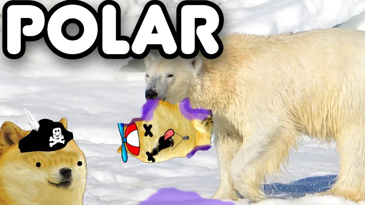 NI&Ntilde;O con DERECHO es COMIDA de OSO POLAR - Hilos con cheems