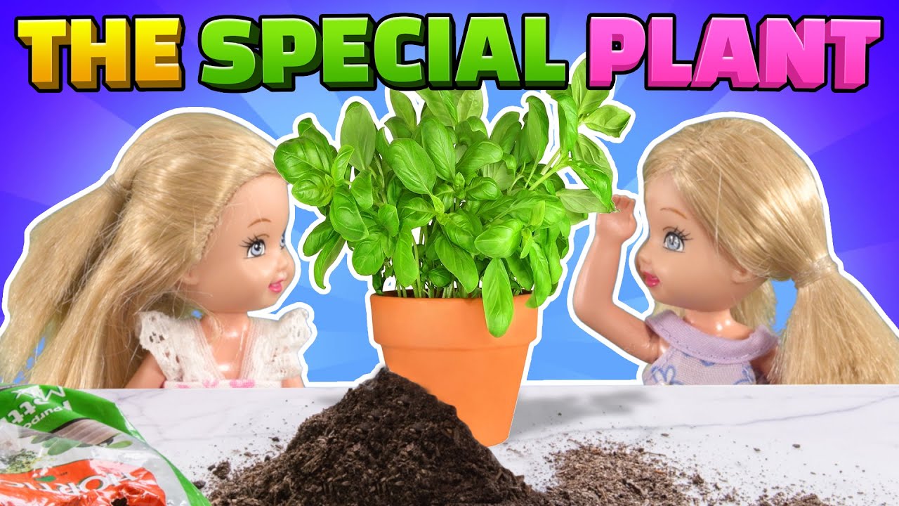 Barbie - The Twin's Special Plant | Ep.308
