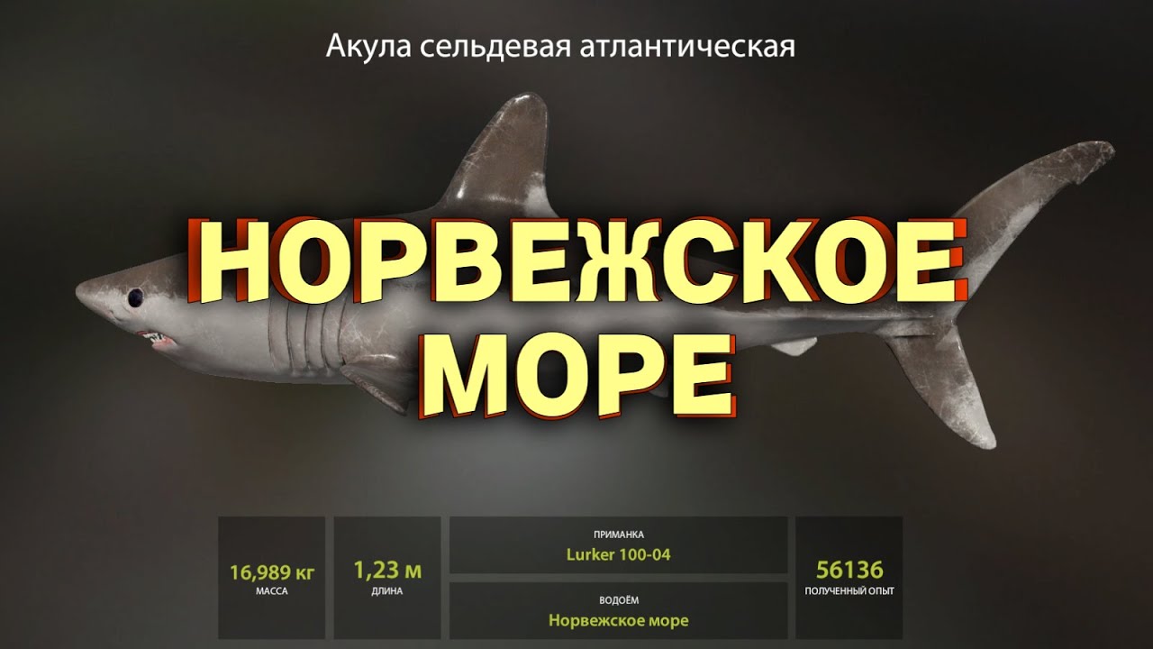 Русская Рыбка 4 - Норвежском море взгляд новичка!