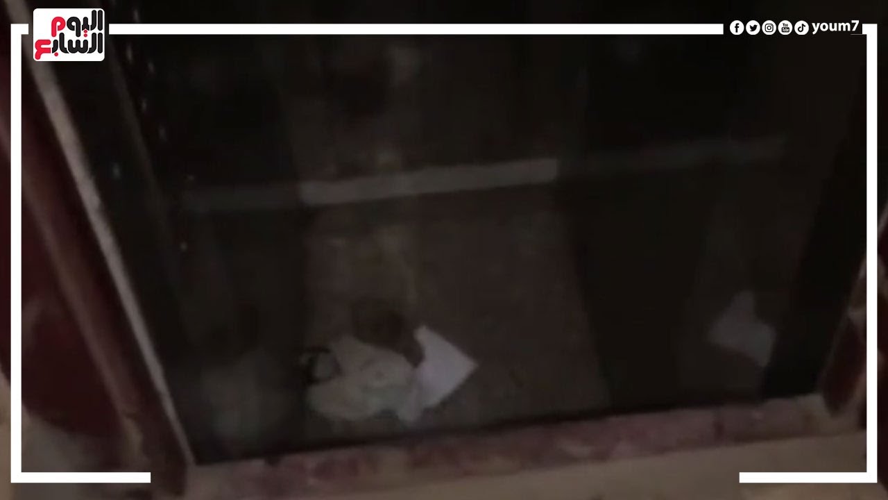 مصرع طفل بعد سقوط الأسانسير به في الدقهلية.. وشقيقه: 
