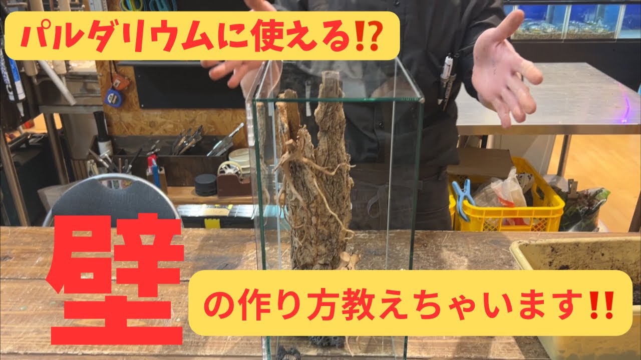 【パルダリウム製作#4】誰でも出来る！？『造形君』を使った壁の作り方教えてちゃいます！！
