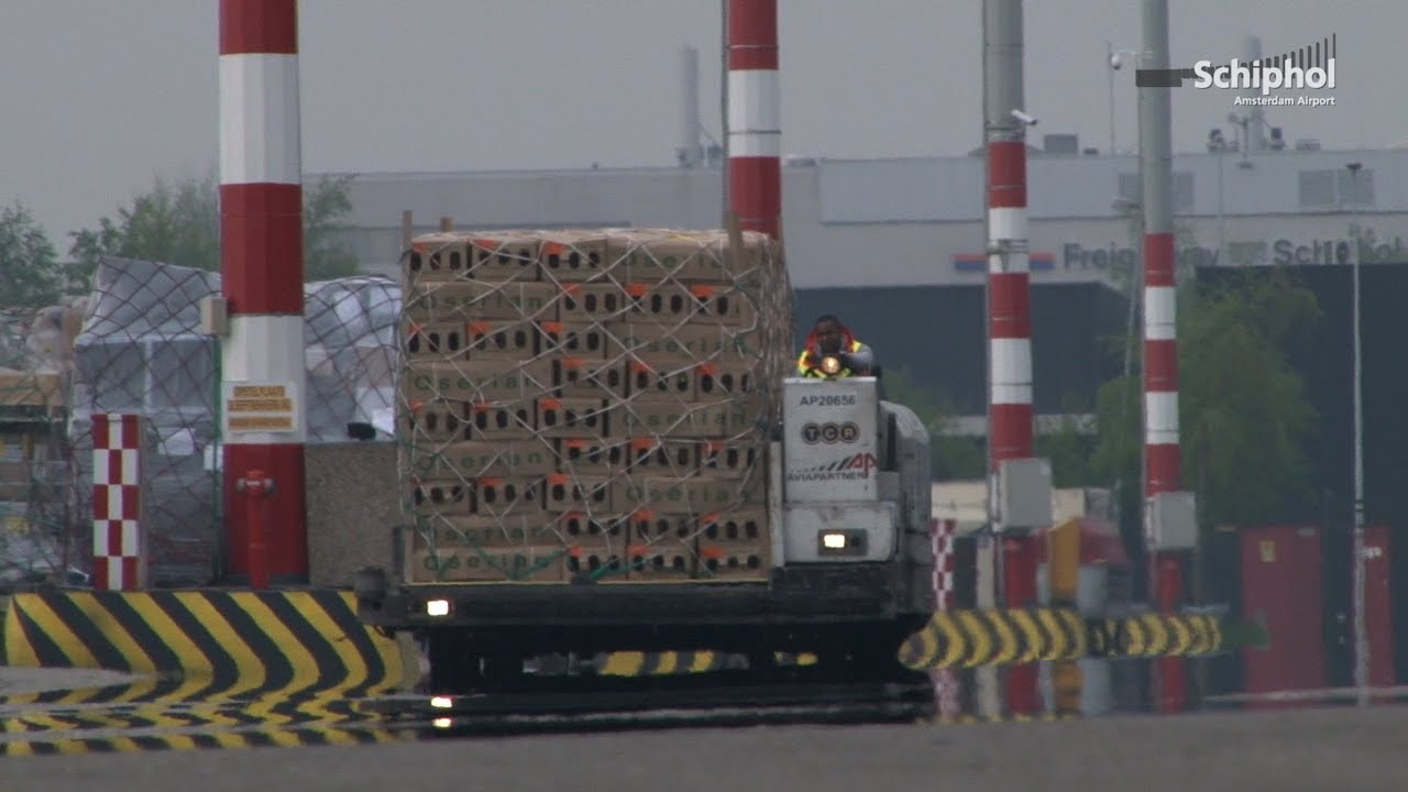 Start je baan op Schiphol: Cargo & Platform Medewerker