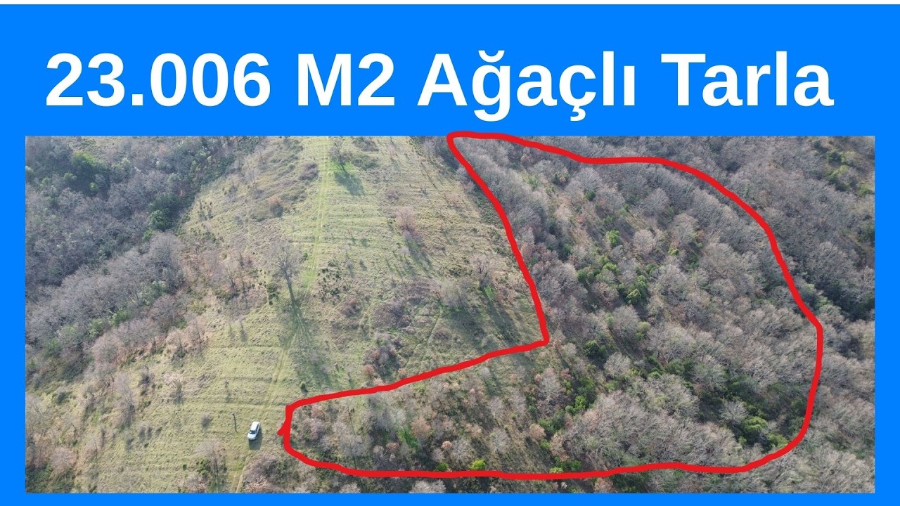 Ucuz Ağaçlık  Tarla 23.007 M2 Balıkesir Balya Gölobada 999.000 TL