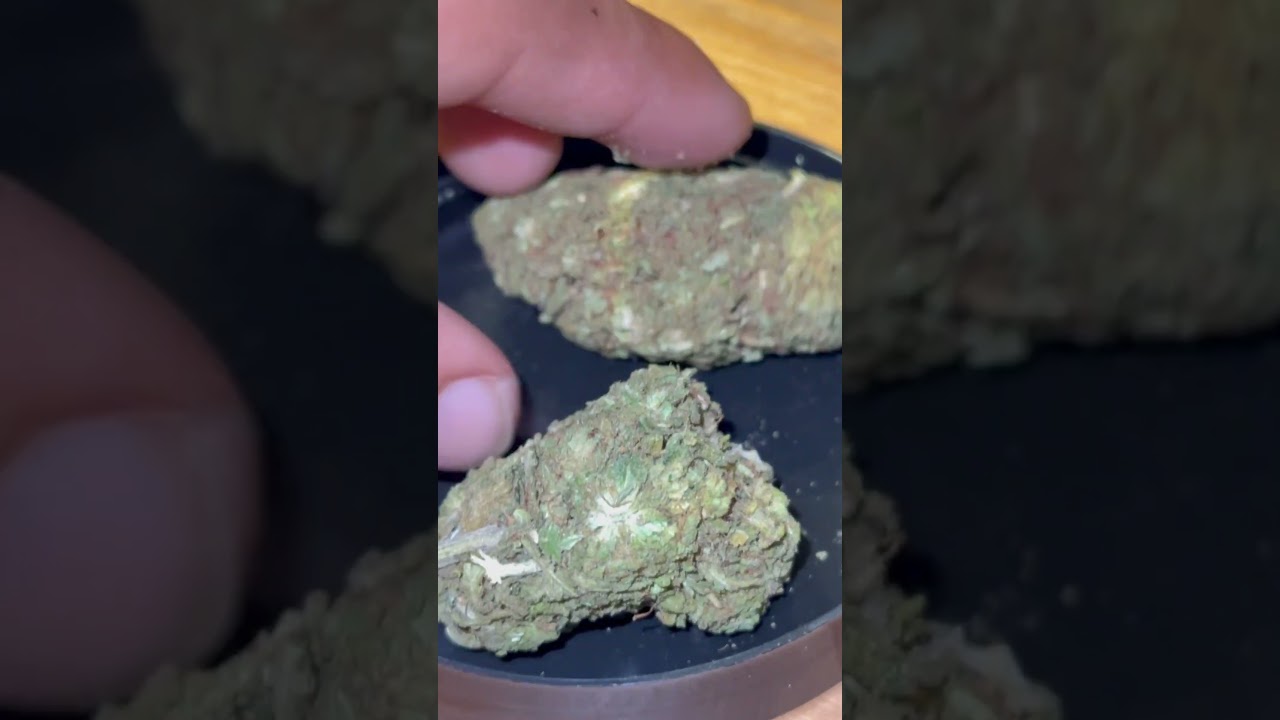 Sugar Hemp Farms THCA $60 OZ: Sour Hawaiian Haze