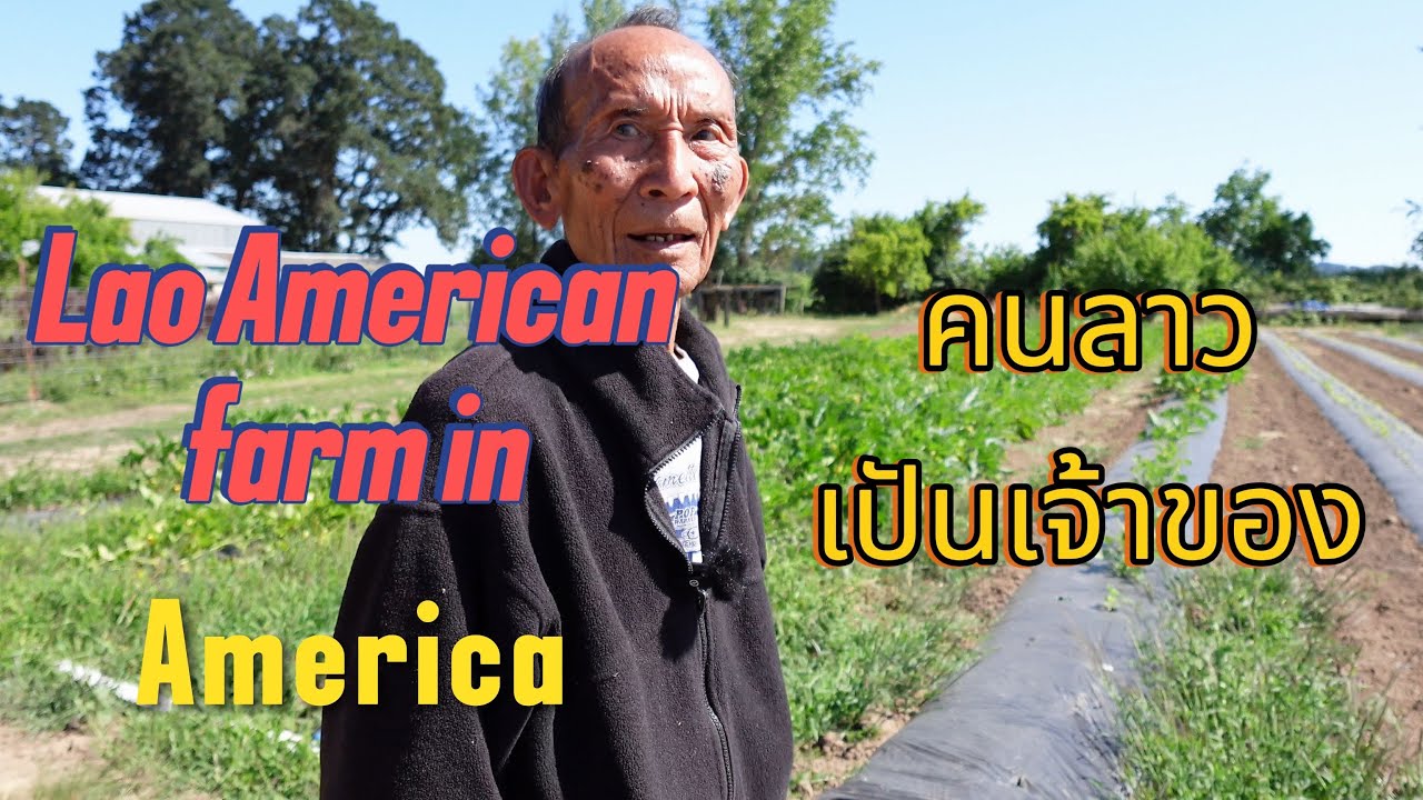 Lao Farmer in America ຄົນລາວເປັນເຈົ້າຂອງ