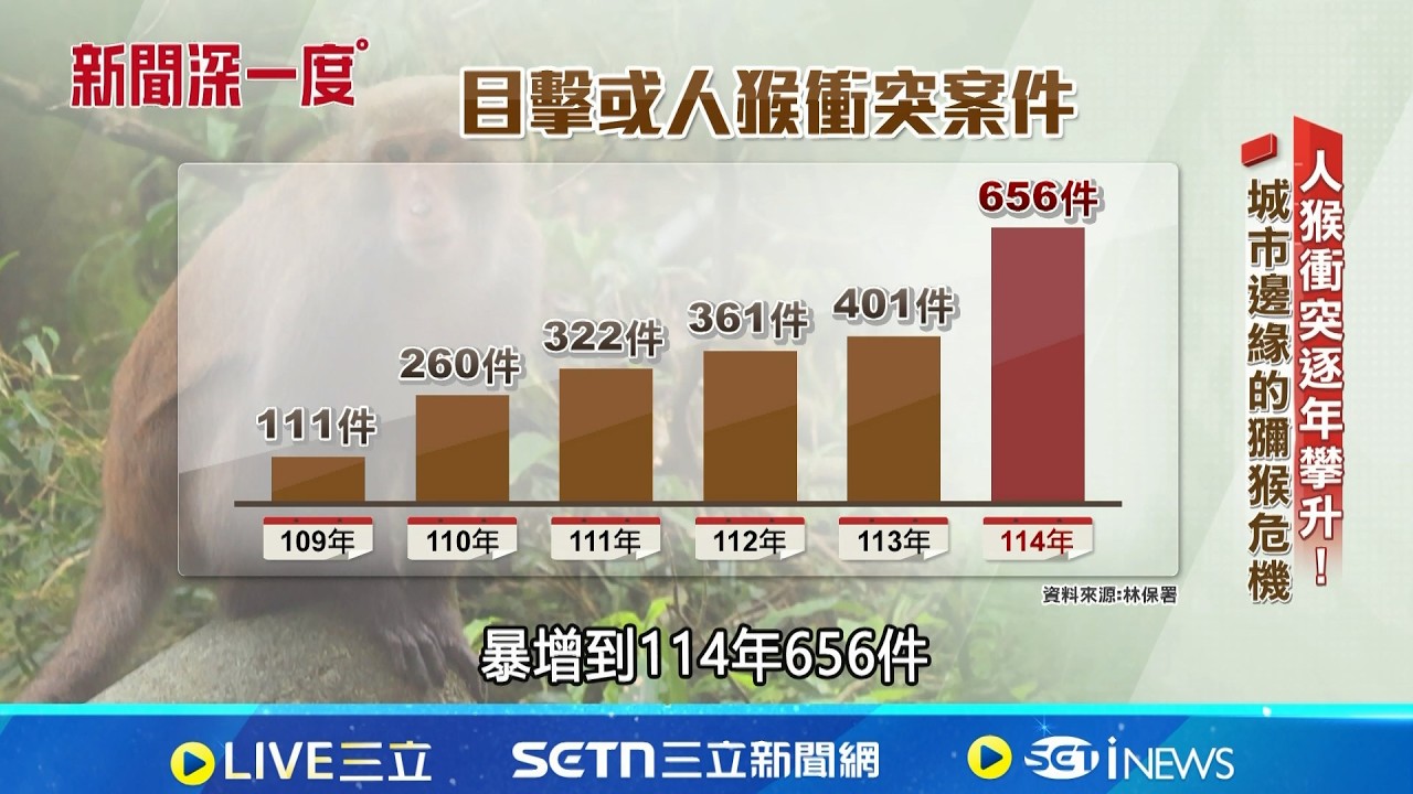 人猴衝突暴增5倍! 猴害從山區逼近市區│新聞深一度2026024 ｜三立新聞台