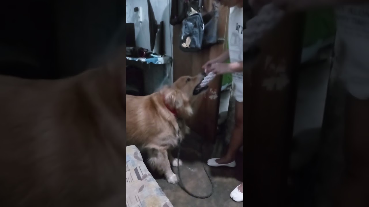 Ang Dami Dala ni mommy at daddy ko sa birthday ko 
