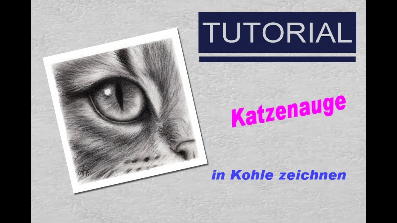Wie zeichne ich ein Katzenauge in Kohle? Freies Tutorial