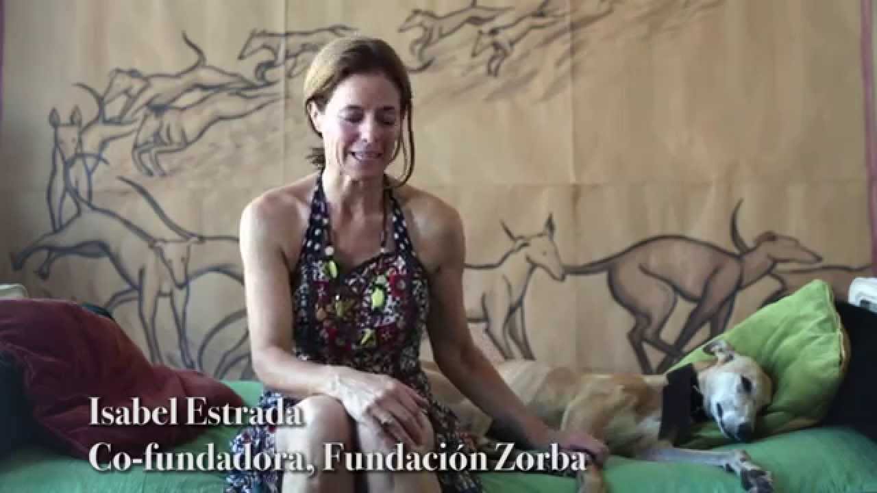 Fundación Zorba - ¿Por qué adoptar un galgo?