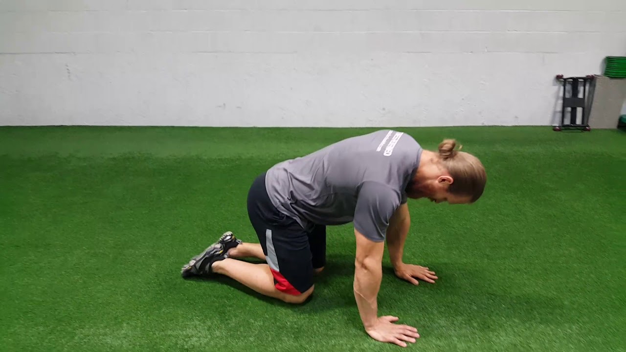 Frog Stretch Cat Cow