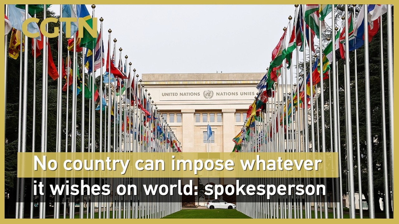 Spokesperson: No country can impose whatever it wishes on world