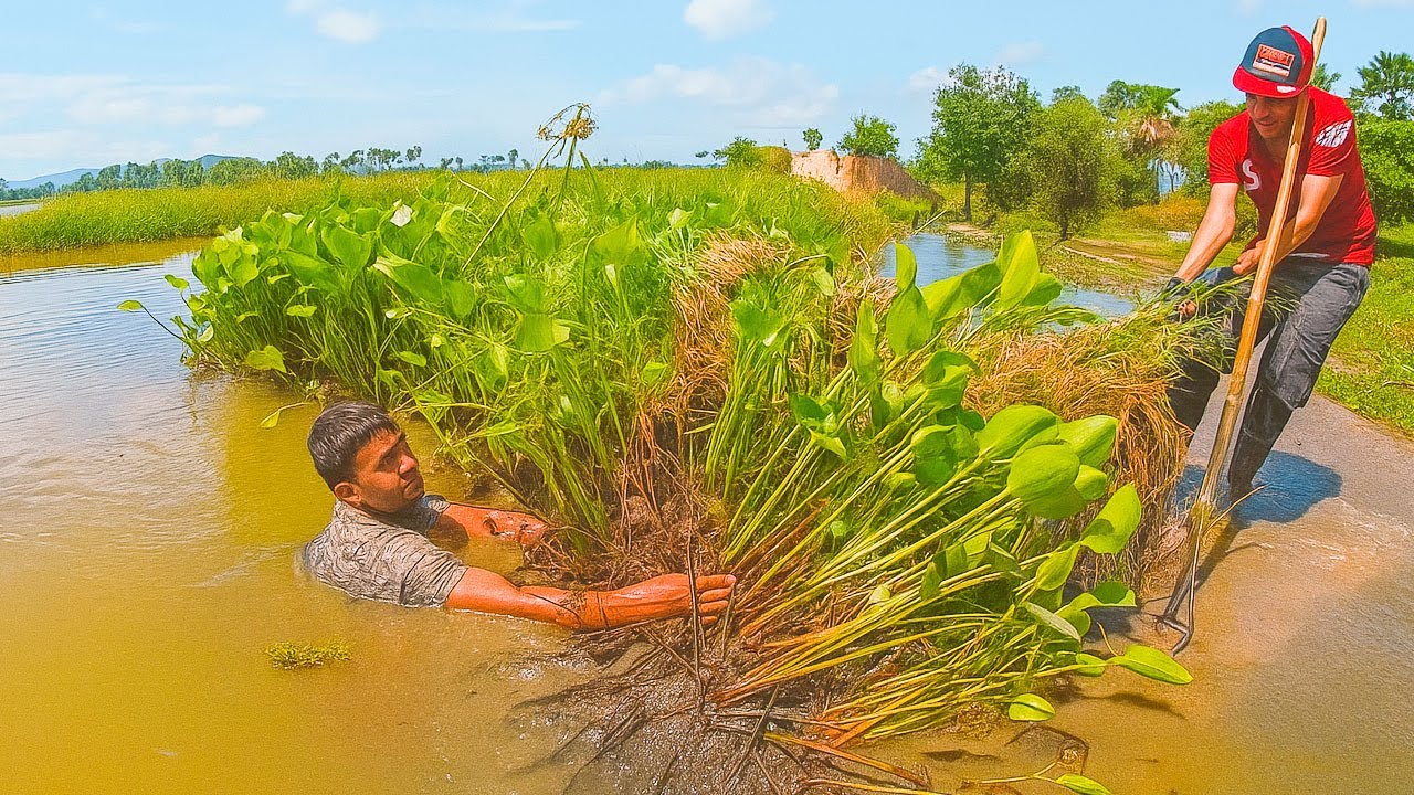 Plants Clogged on dam making it difficult for people to travel we tried to remove them successfully.