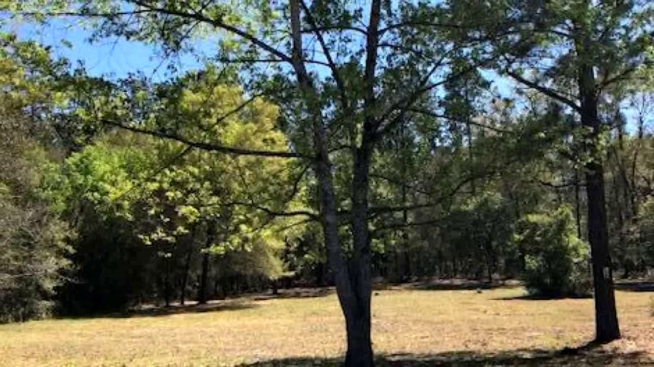 Lots And Land for sale - 0 SW Audubon Avenue, Dunnellon, FL 34431