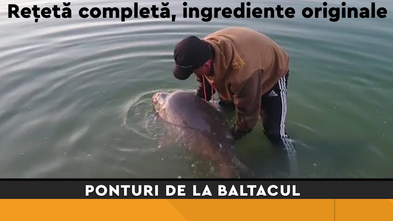 Reteta boilies Homemade cu ingrediente ORIGINALE! (cu Calin Visoianu a.k.a Doctor Fishing)