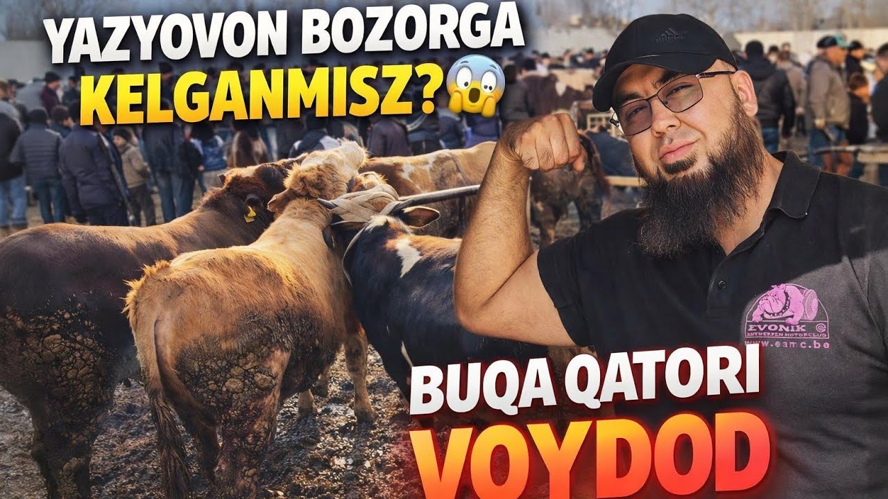 𝙔𝙊𝙕𝙔𝙊𝙑𝙊𝙉 𝘽𝙊𝙕𝙊𝙍𝙄 𝙆𝙊𝙏𝙏𝘼-𝙆𝙄𝘾𝙃𝙄𝙆 𝘽𝙐𝙌𝘼 𝙉𝘼𝙍𝙓𝙇𝘼𝙍𝙄 𝙉𝙀𝙂𝘼 𝘽𝙐 𝘽𝙊𝙕𝙊𝙍 𝙌𝙊𝙂𝘼𝙉𝙇𝘼𝙍𝙄𝙂𝘼 𝙊́𝙓𝙎𝙃𝘼𝙈𝙄𝘿𝙄😱25 февраля 2026 г.