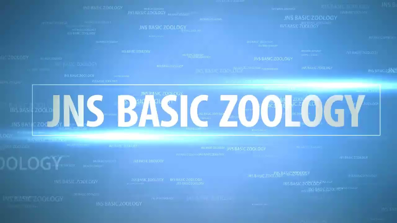 jns basic zoology