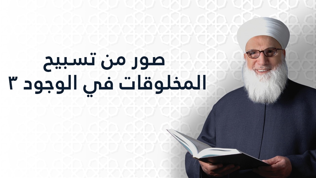 صور من تسبيح المخلوقات في الوجود 3     سورة الإسراء الآية 44    تفسير القرآن الكريم    1134